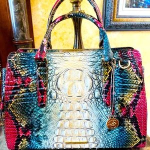 NWT Brahmin Komodo Ombré Small Finley